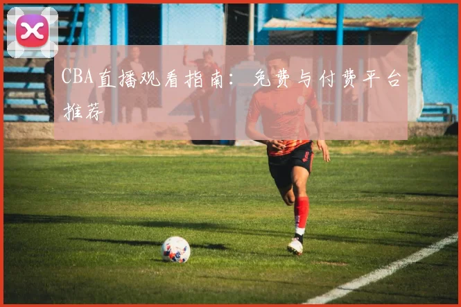 CBA直播观看指南：免费与付费平台推荐